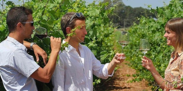 Květen 2024 - Nové ročníky vín z italských regionů