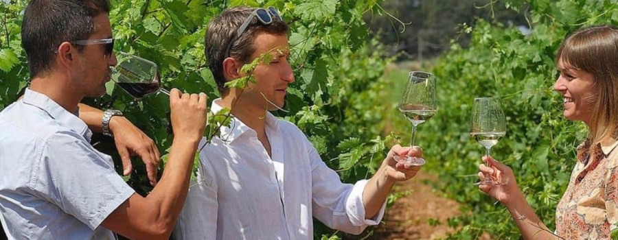 Květen 2024 - Nové ročníky vín z italských regionů