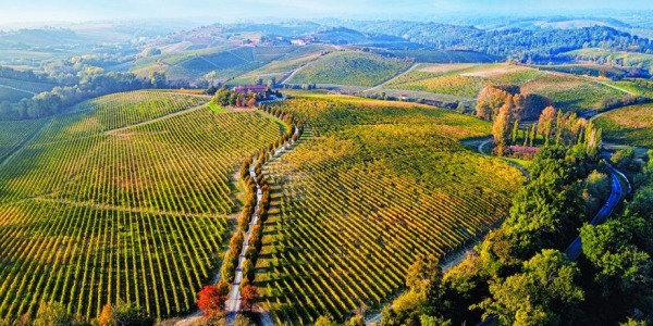 Červenec 2024 - Nové ročníky vín z italských regionů